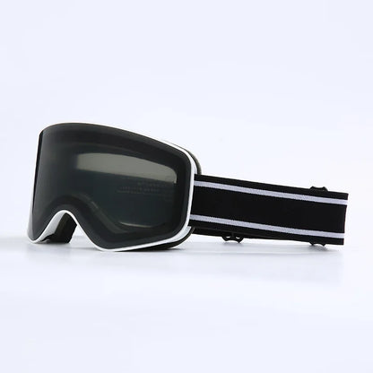 Alpine Snow Goggles