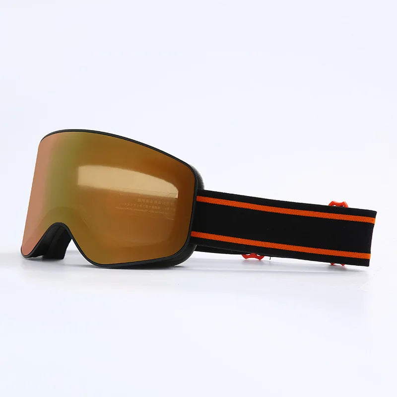 Alpine Snow Goggles