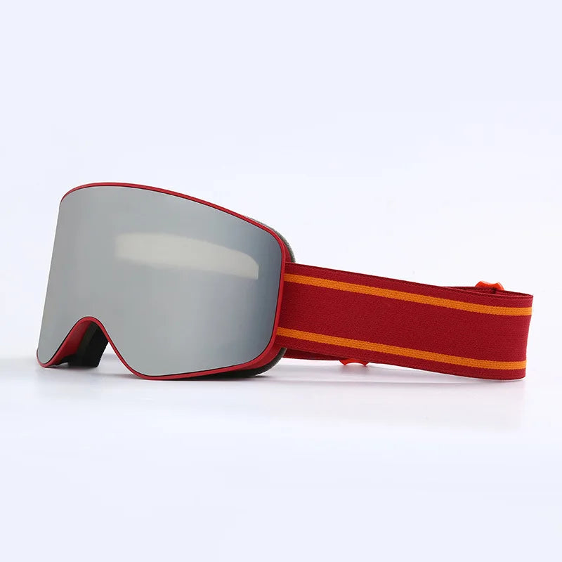 Alpine Snow Goggles